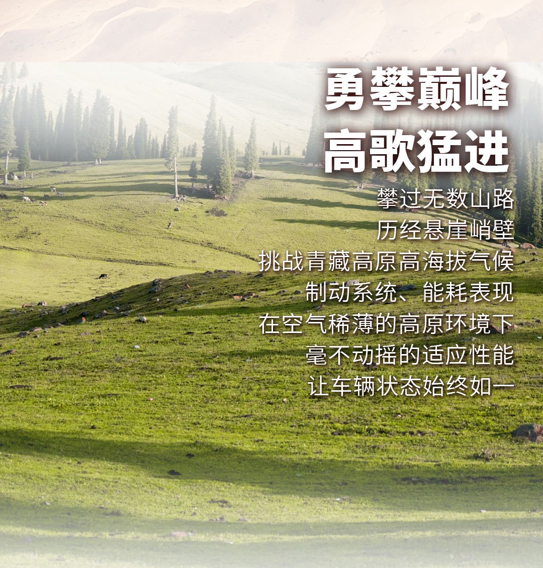 图乐长图_13.jpg